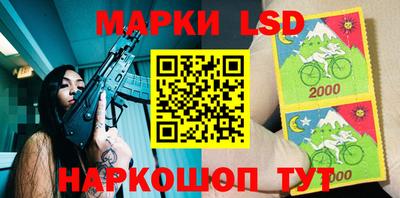 прущие грибы Абакан