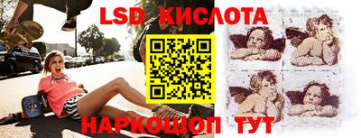 прущие грибы Абакан