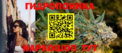 прущие грибы Абакан