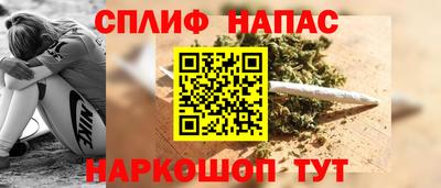 прущие грибы Абакан