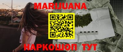 прущие грибы Абакан