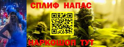 прущие грибы Абакан