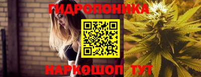 spice Азнакаево