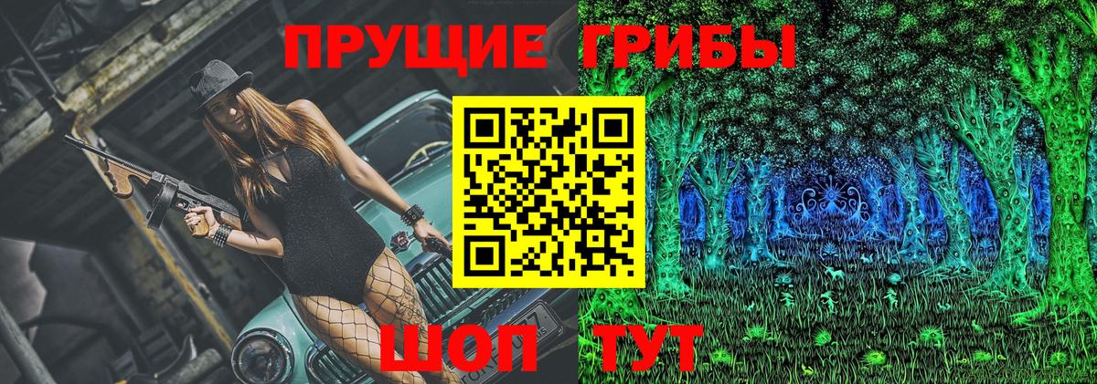 Азнакаево  Галлюциногенные грибы Psilocybe  Вход с VPN 