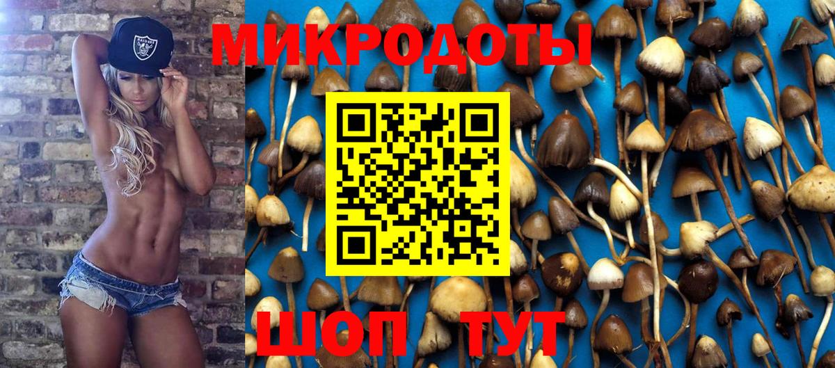 Псилоцибиновые грибы GOLDEN TEACHER Азнакаево